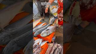 Karanja Jetty🐟😍  karanjajetty karanjafishmarket viralvideo kaushalpatilvlogs trendingvideo [upl. by Rairb185]