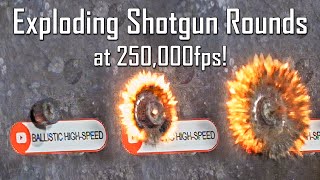 Exploding Shotgun Rounds at 250000FPS  Ballistic HighSpeed [upl. by Wiltsey]