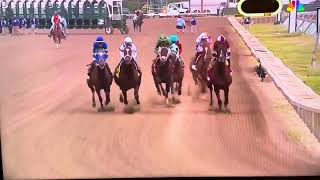 Dornoch WINS The 2024 Haskell Stakes [upl. by Knowling]