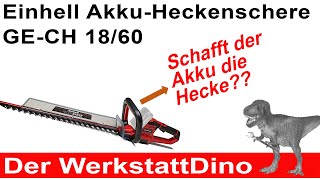 Einhell AkkuHeckenschere GECH 1860 Was kann die [upl. by Mclain]