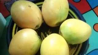 apple mango or carabao mango tawag sa aminano sa inyohappy sunday🤣🤣🤗❤️🤗🙏 [upl. by Phelps]