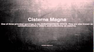 Medical vocabulary What does Cisterna Magna mean [upl. by Sirtimed513]