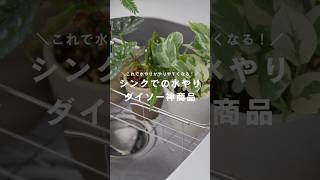 【ダイソー商品】シンクでの水やりがしやすくなる神アイテム 観葉植物 観葉植物インテリア 観葉植物のある暮らし 観葉植物初心者 植物 植物のある暮らし 水やり ダイソー [upl. by Gabriela566]