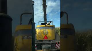 Behind the New Holland FR 550 inside view 🚜 harvest cornharvesting shortsvideo [upl. by Drucy480]