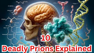 Top 10 Prions Explained Deadly Proteins You Need to Know About [upl. by Hartill]