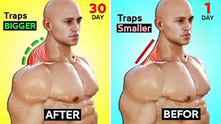 How to get Bigger Traps 8 BEST EXERCISE Trapezius  🎯 تمارين ترابيس [upl. by Nagey]