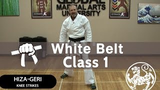 Shotokan Karate Follow Along Class  9th Kyu White Belt  Class 1 [upl. by Petromilli803]