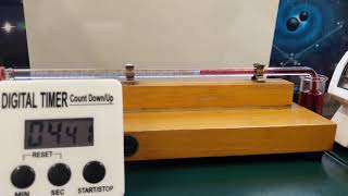 Transpiration Potometer Timelapse [upl. by Enoch79]