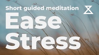 Short Guided Meditation to Ease Stress 5 Mins [upl. by Hazel]