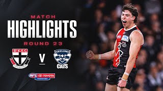 St Kilda v Geelong Highlights  Round 23 2024  AFL [upl. by Noiramaj]