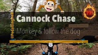 Cannock Chase Monkey amp Follow the dog red MTB trails [upl. by Oicaroh]