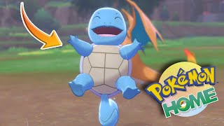 Getting Squirtle In Pokemon Sword and Shield [upl. by Huntley]