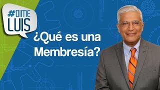 ¿Qué es una Membresía Tipos de Negocios de Recurrencia  DimeLuis [upl. by Horatio]