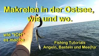 Makrelen in der Ostsee wie und wo vom Boot [upl. by Dnalevets]