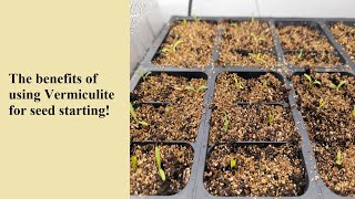 Using Vermiculite for Seed Starting [upl. by Beaufert]