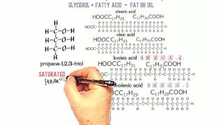 Esters 3 Structure of Fats and Oils [upl. by Eelinej]