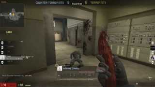 Gut Knife Slaughter  Counter Strike Go [upl. by Cinnamon855]