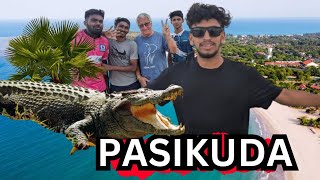 💥🤯Pasukudalaல இவ்வளவு பெரிய முதலயா⁉️  Baticalo Ep 5  M I Habeeb Vlogs [upl. by Witkin]