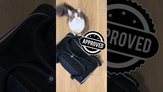 Stylish Pet Carrier Bag Review  Perfect for Your Furry Friend [upl. by Knowland]