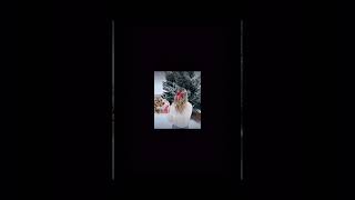 JONAS BROTHERS CHRISTMAS SONGS ALREADYYYY☃️☃️☃️shortsfeed shortsfeed youtubeshorts foryou fypシ゚ [upl. by Ellison]