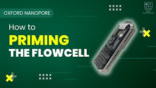 NANOPORE MINION  HOW TO PRIMING THE FLOW CELL [upl. by Llerehc]