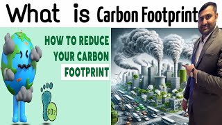 Carbon Footprint in hindi  Understand it in a Simple Hindi  carbon offsets SafetyTrainerNebosh [upl. by Nahama]