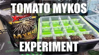 Tomato Mykos Experiment Mycorrhizal Fungi Pt1 Adv17 [upl. by Barncard]