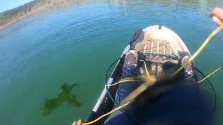 kayak crabbing bodega bay [upl. by Arnaud]