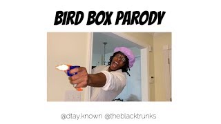 Bird Box Parody [upl. by Smallman]