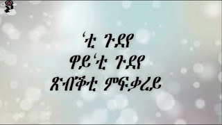 Andit Okbay  Ti gudeye Lyrics Video [upl. by Nats]