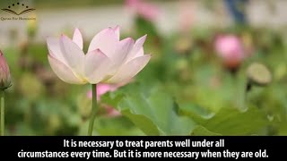 How to Treat Parents In Islam  Respect Your Parents  Quran For Humanity [upl. by Meirrak]