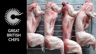 How to butcher a rabbit [upl. by Notwen]