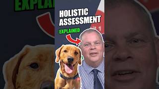 What is Holistic Assessment A Short Guide and EXAMPLE education learning shorts [upl. by Eioj]