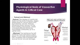 Vasoactive Agents in the ICU [upl. by Islaen]