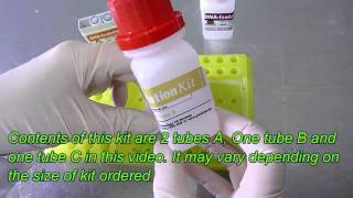 DNA isolation method DNA extraction method from one drop of blood Plasmid isolation Genekam [upl. by Jew57]