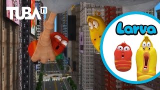 LARVA ISLAND Change Episode LARVA 2019 LARVA CARTOON bao trung chanel [upl. by Hedve]