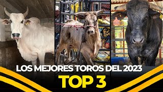 Los tres mejores toros del 2023 [upl. by Htabmas]