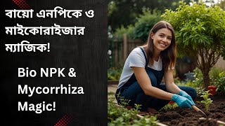 বায়ো এনপিকে ও মাইকোরাইজার ম্যাজিক  बायो एनपीके और माइकोराइज़ा का जादू  Bio NPK amp Mycorrhiza Magic [upl. by Furmark111]