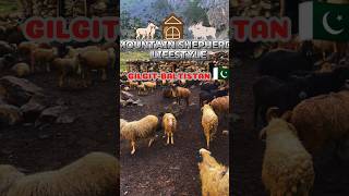 Mountain shepherds lifestyle  Shepherds House  mountains shepherd azan [upl. by Laemsi]