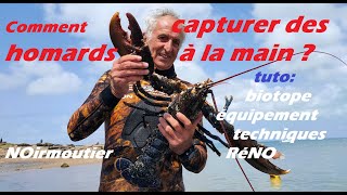 Tuto  Comment capturer des homards à la main biotope équipement techniques [upl. by Nadda]