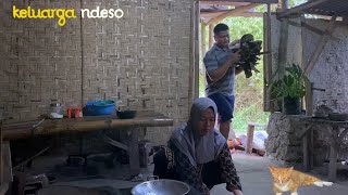 masak untuk makan malamceker mercon bakwan bayam masakan desa [upl. by Enilorak289]