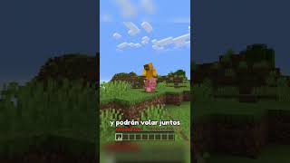 El uso secreto de las elytras en Minecraft 🤨 [upl. by Kerrison689]