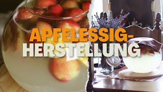 Experiment Apfelessigherstellung im Kugelaquarium [upl. by Ailee]