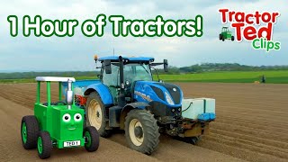 1 Hour of Big Machines For Kids Who LOVE Tractors 🚜 Tractor Ted Official [upl. by Fairbanks]