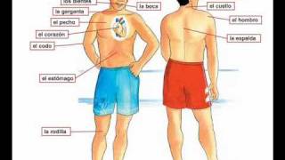 Dolor de cabeza  Learn Spanish body parts [upl. by Eladnar]