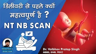 NT NB scan in Hindi  Ultrasound  Pregnancy Test [upl. by Ginsburg]