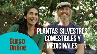 Curso ONLINE de Plantas Silvestres Comestibles y Medicinales Objetivo de Luz y Bosque Humano [upl. by Martino]