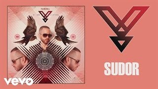 Yandel  Sudor Audio [upl. by Anaihsat]