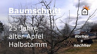 Baumschnitt Apfelbaum Halbstamm 25 Jahre  vorher amp nachher [upl. by Ivar]