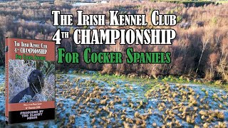 The IKC 4th Cocker Spaniel Championship DVD Preview [upl. by Aiki336]